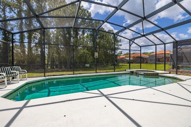 113 TIGER LILY COURT, Davenport, FL 33837