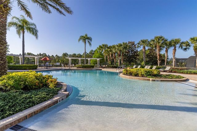 113 TIGER LILY COURT, Davenport, FL 33837