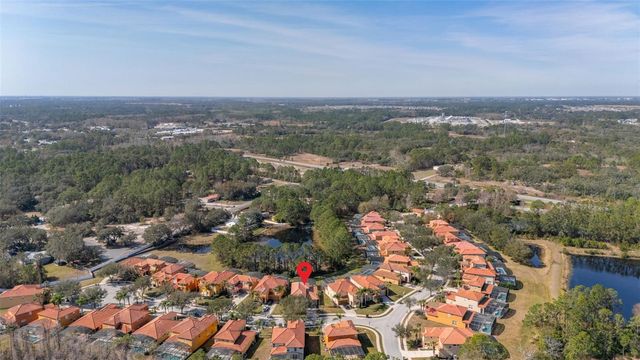 113 TIGER LILY COURT, Davenport, FL 33837