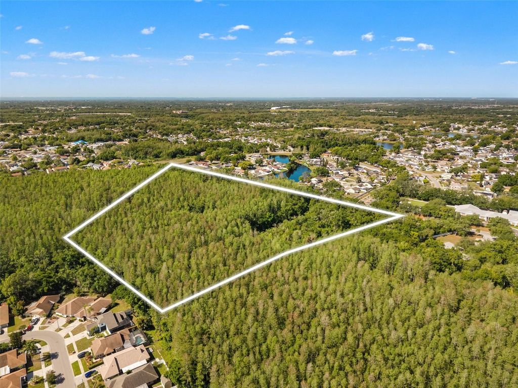 Image 2 of property listing at 12591 HENDERSON ROAD, Tampa, FL 33619