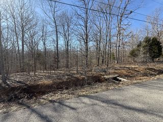 29 Backwoods Estates, Indian Mound, TN 37079