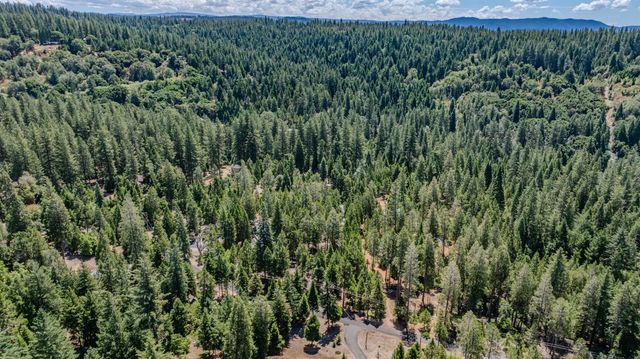 19791 Inspiration Dr, Pioneer, CA 95666