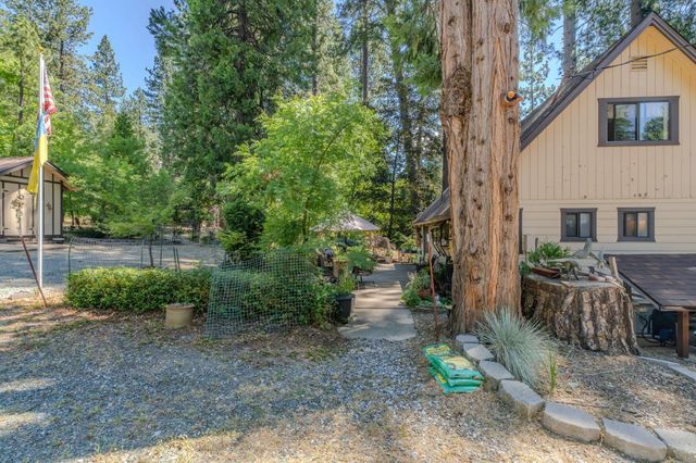 19791 Inspiration Dr, Pioneer, CA 95666