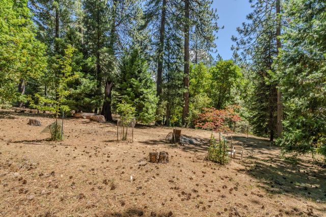 19791 Inspiration Dr, Pioneer, CA 95666