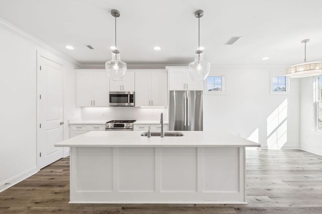 75 Conifer Court, Inlet Beach, FL 32461