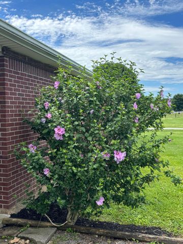 4137 Hwy 2141, Stanford, KY 40484