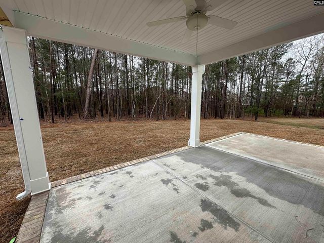 454 Brookridge Drive, Chapin, SC 29036
