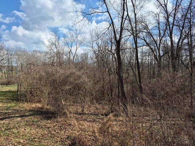 6656 St Rt 133, Wayne Twp, OH 45162