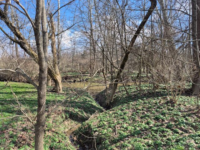 6656 St Rt 133, Wayne Twp, OH 45162