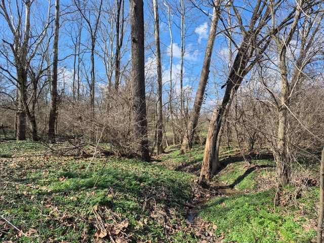 6656 St Rt 133, Wayne Twp, OH 45162