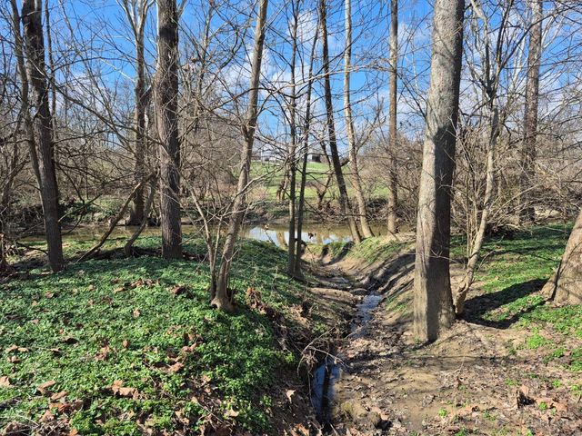 6656 St Rt 133, Wayne Twp, OH 45162