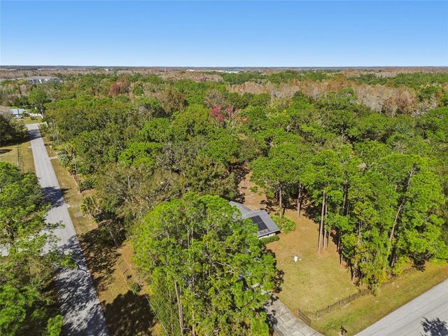 17641 DEERFIELD DRIVE, Lutz, FL 33558