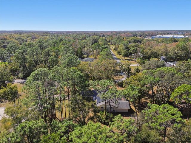 17641 DEERFIELD DRIVE, Lutz, FL 33558