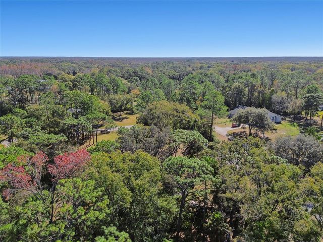 17641 DEERFIELD DRIVE, Lutz, FL 33558