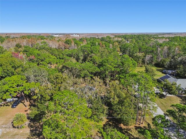 17641 DEERFIELD DRIVE, Lutz, FL 33558