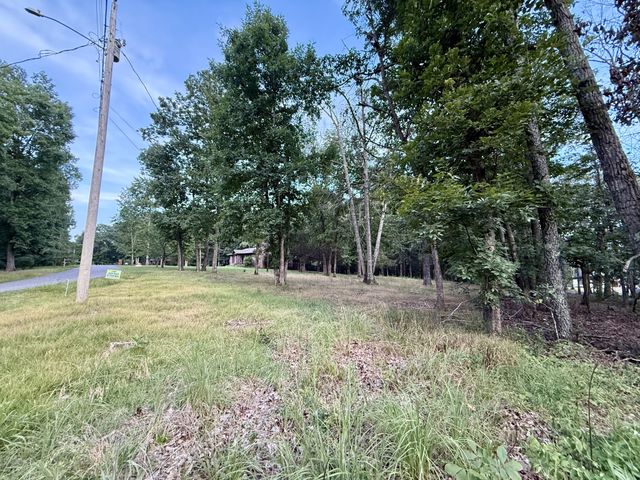 4518 Elkins Dr, Centerville, TN 37033
