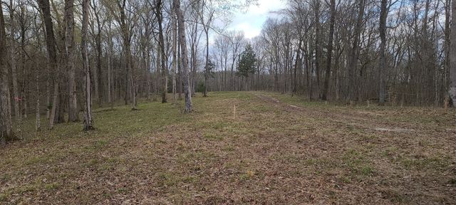 6 Island View Dr, Bath Springs, TN 38311