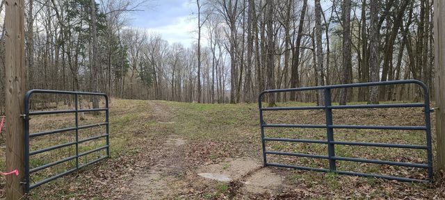 6 Island View Dr, Bath Springs, TN 38311