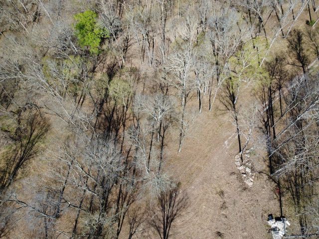 6 Island View Dr, Bath Springs, TN 38311