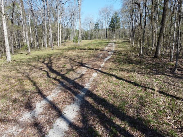 6 Island View Dr, Bath Springs, TN 38311