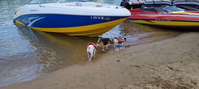 6 Island View Dr, Bath Springs, TN 38311