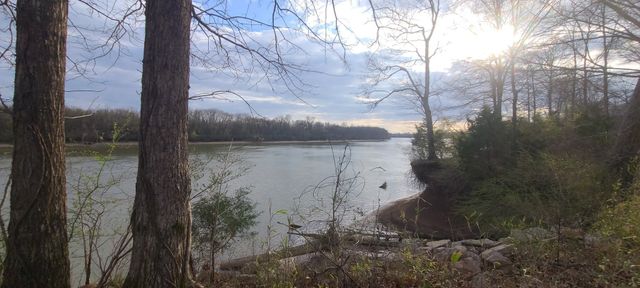 6 Island View Dr, Bath Springs, TN 38311