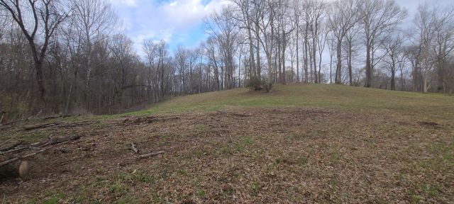 6 Island View Dr, Bath Springs, TN 38311