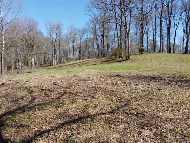 6 Island View Dr, Bath Springs, TN 38311