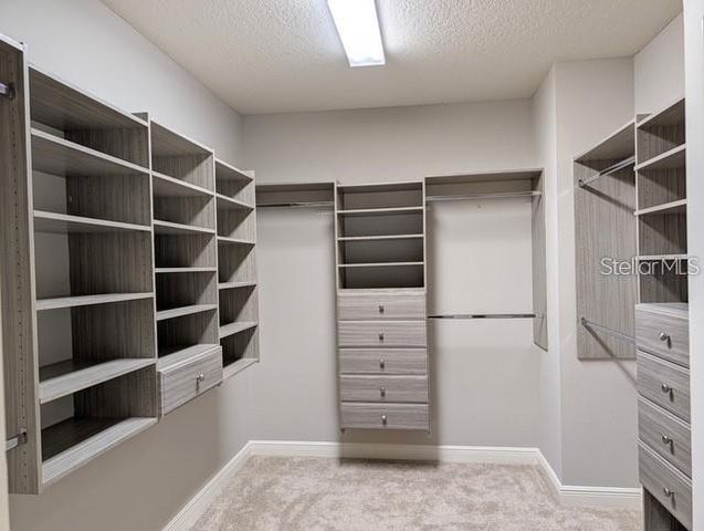 10915 CHARMWOOD DRIVE, Riverview, FL 33569