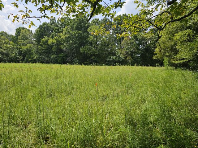 0 Whitfield Hollow Road, Readyville, TN 37149