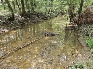 0 Whitfield Hollow Road, Readyville, TN 37149