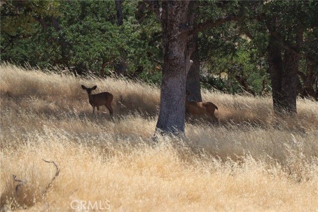 22986 Cascio Way, Lower Lake, CA 95457