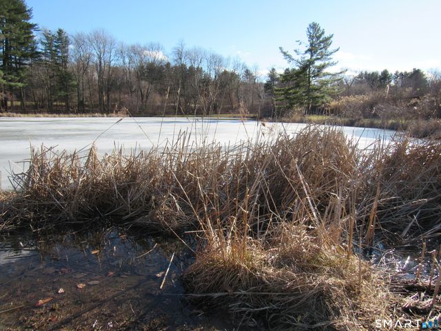 7 Blueberry Lane, Plymouth, CT 06786