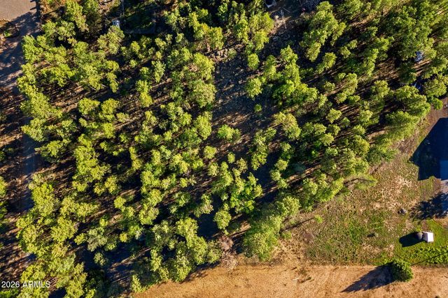 2865 Penney Lane, Lakeside, AZ 85929