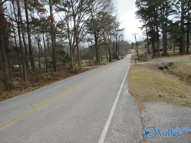 78 John Johnson Road, Trinity, AL 35673