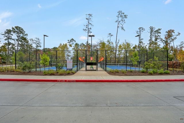 108 Salvia Star Court, Conroe, TX 77304