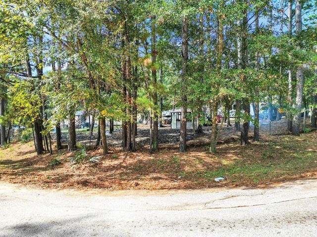 14321 Forest Circle E, Montgomery, TX 77356