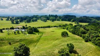 Douglas Dam Rd, Kodak, TN 37764