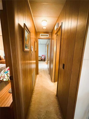 316 PALO VERDE DRIVE, Leesburg, FL 34748