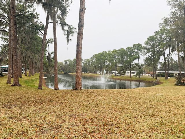 316 PALO VERDE DRIVE, Leesburg, FL 34748