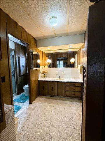 316 PALO VERDE DRIVE, Leesburg, FL 34748