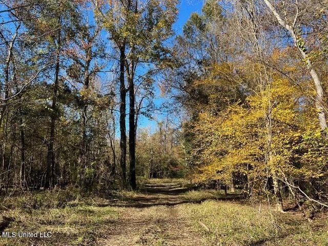 18000 Pushepatappa Cut Off Road, Bogalusa, LA 70427
