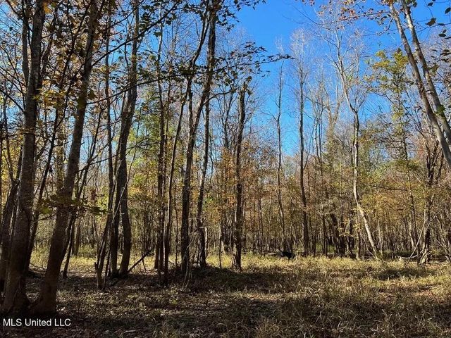 18000 Pushepatappa Cut Off Road, Bogalusa, LA 70427