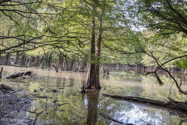 18000 Pushepatappa Cut Off Road, Bogalusa, LA 70427
