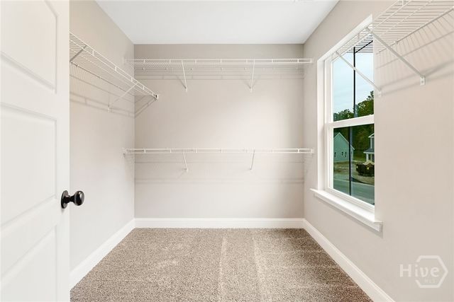 152 Hanover Place, Richmond Hill, GA 31324