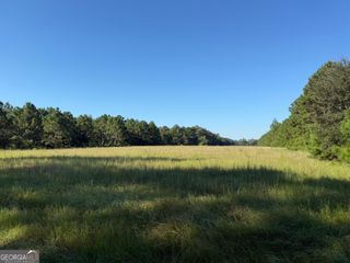 0 Sunbury Road TRACT 4, Claxton, GA 30417