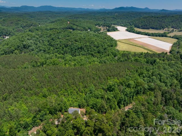 419 Travelers Rest Lane, Rutherfordton, NC 28139