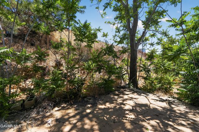 5145 Corradi, Acton, CA 93510