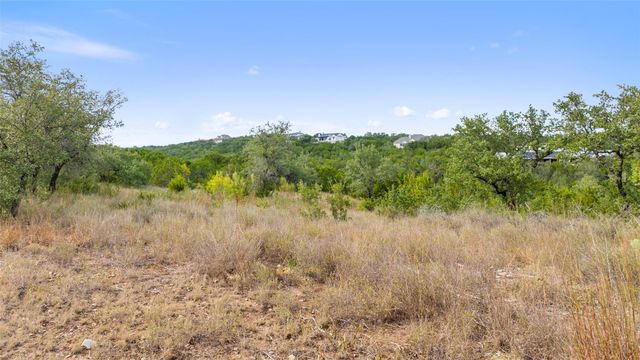 19718 Fig Bluff LN, Spicewood, TX 78669