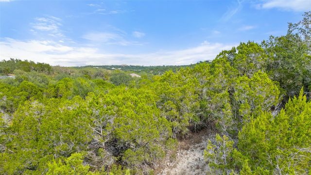 19718 Fig Bluff LN, Spicewood, TX 78669